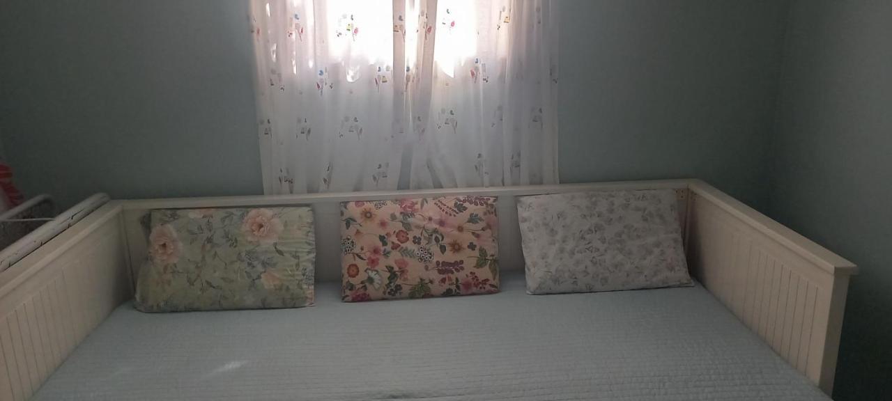 Willa Εξοχικό Roxani Ambelakia Zewnętrze zdjęcie