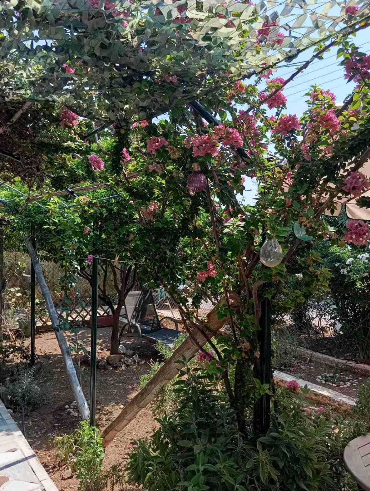 Willa Εξοχικό Roxani Ambelakia Zewnętrze zdjęcie